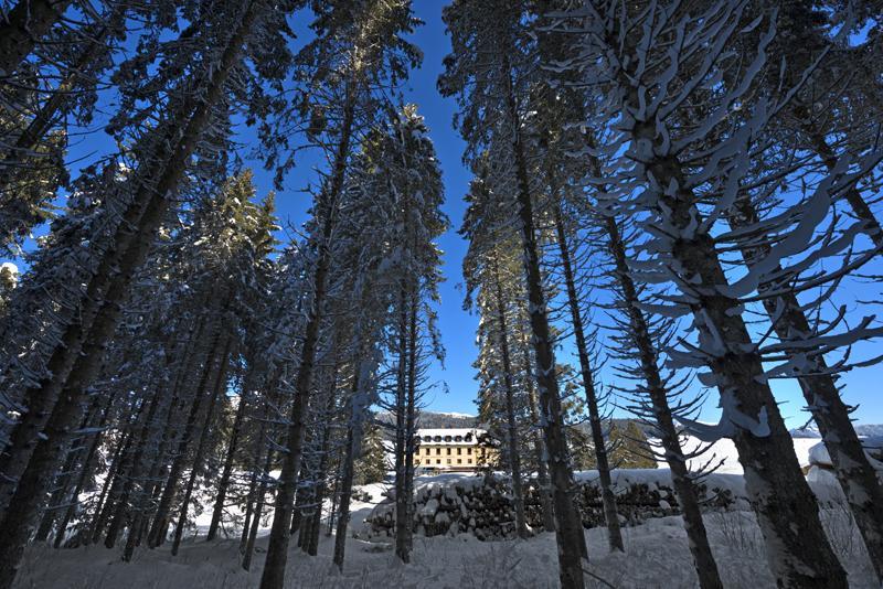 Hotel Vezzena Malga Postesina Zewnętrze zdjęcie